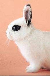 育碧竞速新作《飙酷车神：轰鸣盛典》9月发售